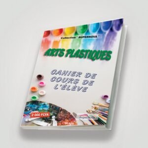 8- Arts plastique